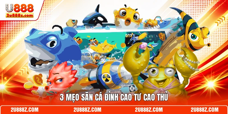 3 mẹo săn cá đỉnh cao tư cao thủ