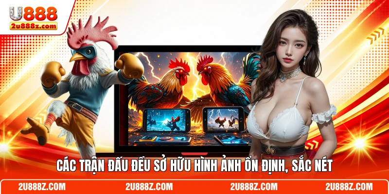 Các trận đấu đều sở hữu hình ảnh ổn định, sắc nét
