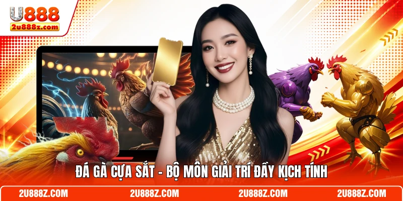 Đá gà cựa sắt - Bộ môn giải trí đầy kịch tính trên U888
