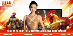 Sảnh Đá Gà U888 - Xem Livestream HD Cùng Nhiều Giải Hot